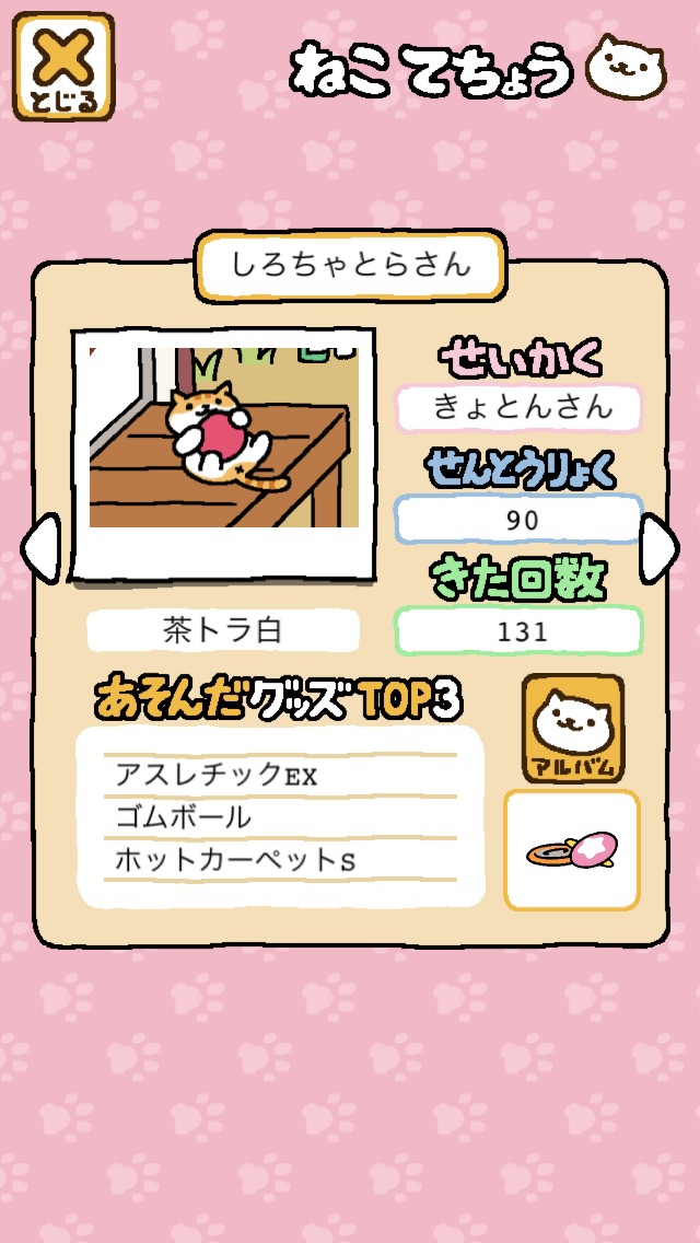 しろちゃとらさん