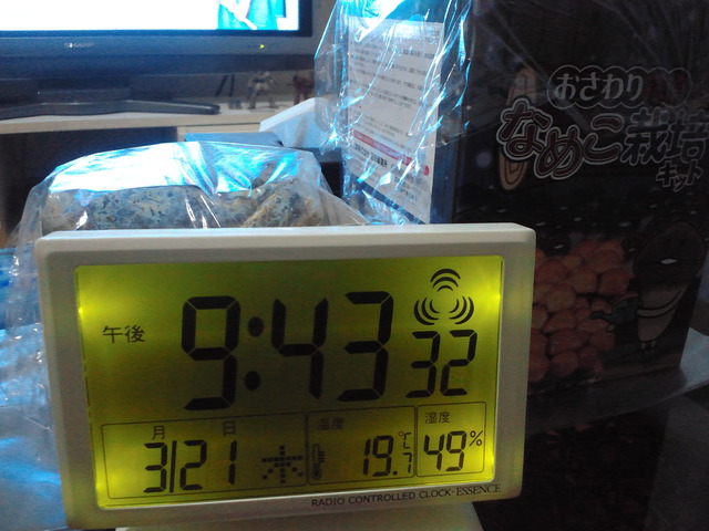 リアルなめこ栽培観察日記　その3