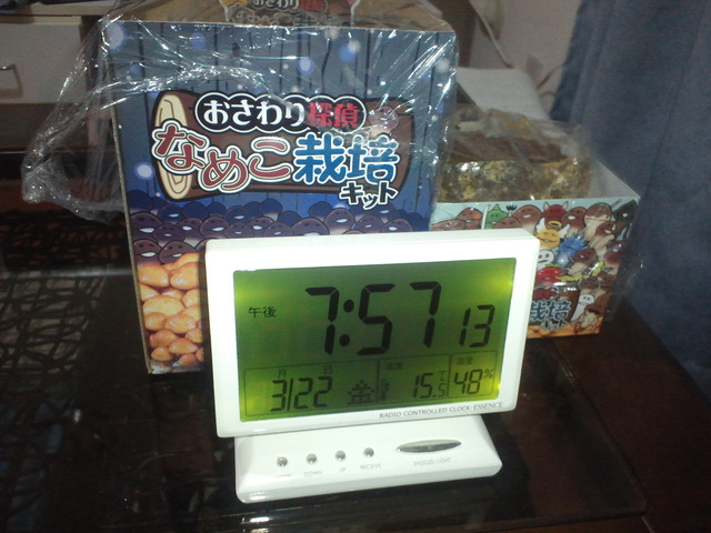 リアルなめこ栽培観察日記　その5