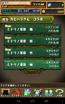 カピバラさんコラボ　攻略