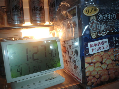 リアルなめこ栽培観察日記　その13