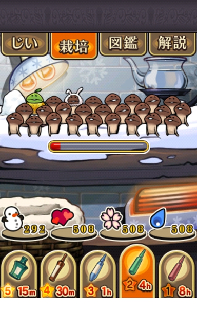 リアルなめこ栽培観察日記　その0