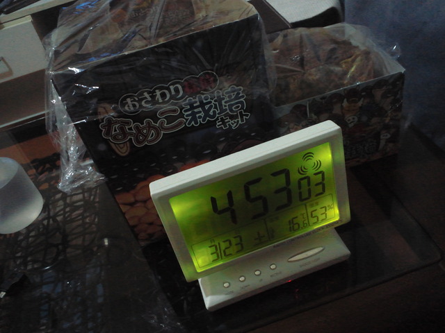 リアルなめこ栽培観察日記　その6