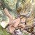 ペトラ(SSR)の紹介と評価