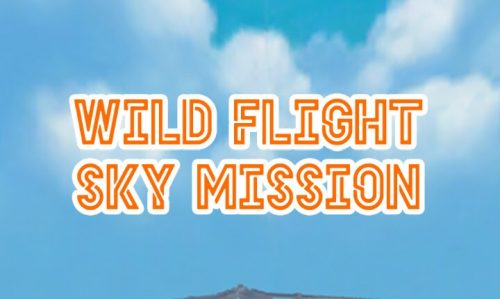 Wild Flight SkyMission 攻略コーナー
