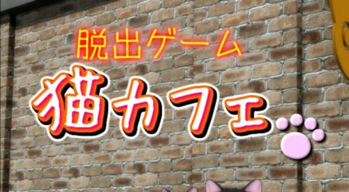 猫カフェ 攻略コーナー