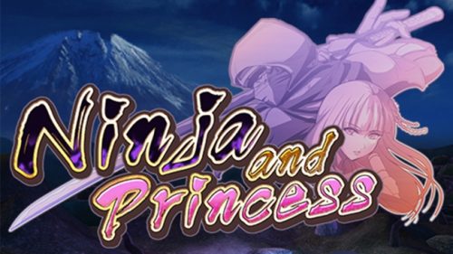 VR本格派FPS「Ninja and Princess」がアップデート！エンドレスモードにランキング機能実装でスコア競争が可能に！