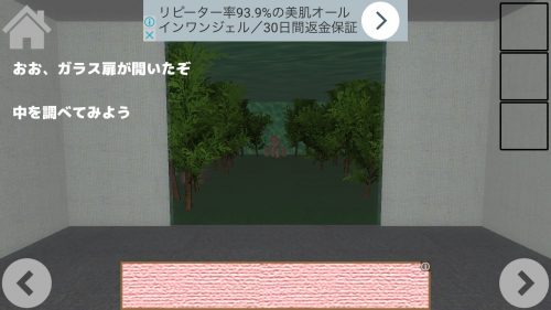 博士からの挑戦状2 攻略 その2(動物の謎～バナナ入手まで)