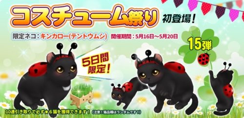 『マイにゃんカフェ』人気ガチャイベント「コスチューム祭り」を開催！！