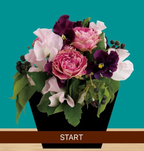 Flower Room (フラワールーム) 攻略コーナー