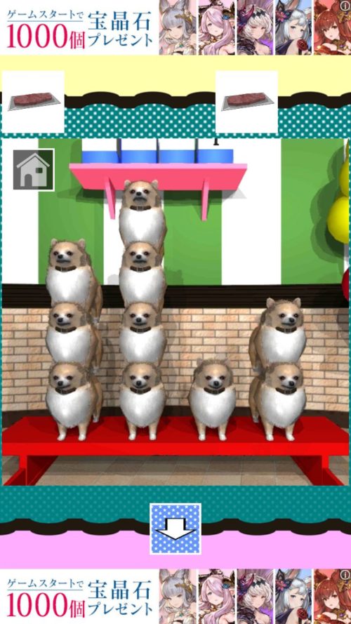 サーカスな部屋からの脱出 攻略 ステージ2 その2(犬の数確認～カード入手まで)