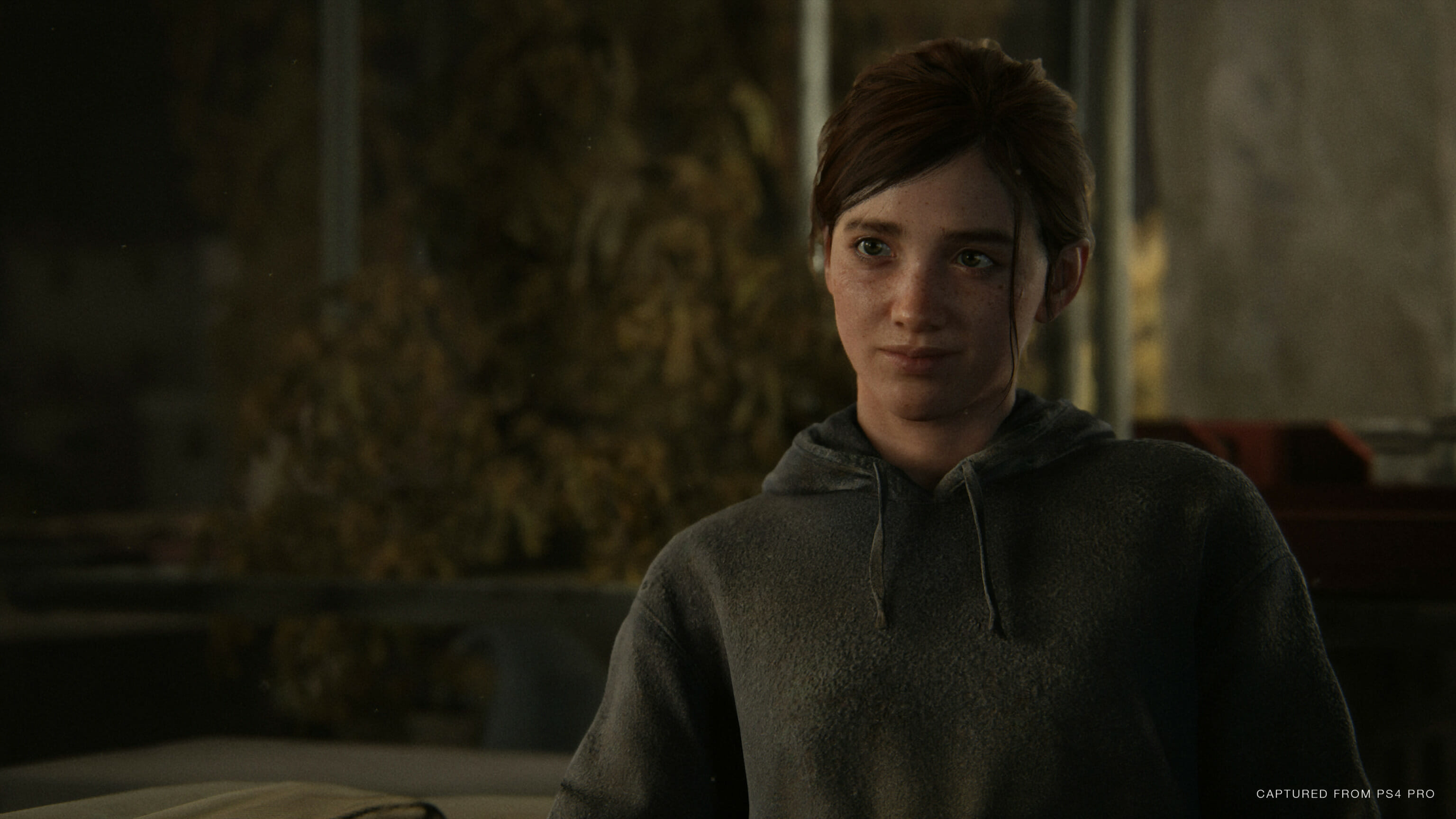 壮絶な復讐劇を体験せよ！PS4「The Last of Us Part II」6月19日発売！