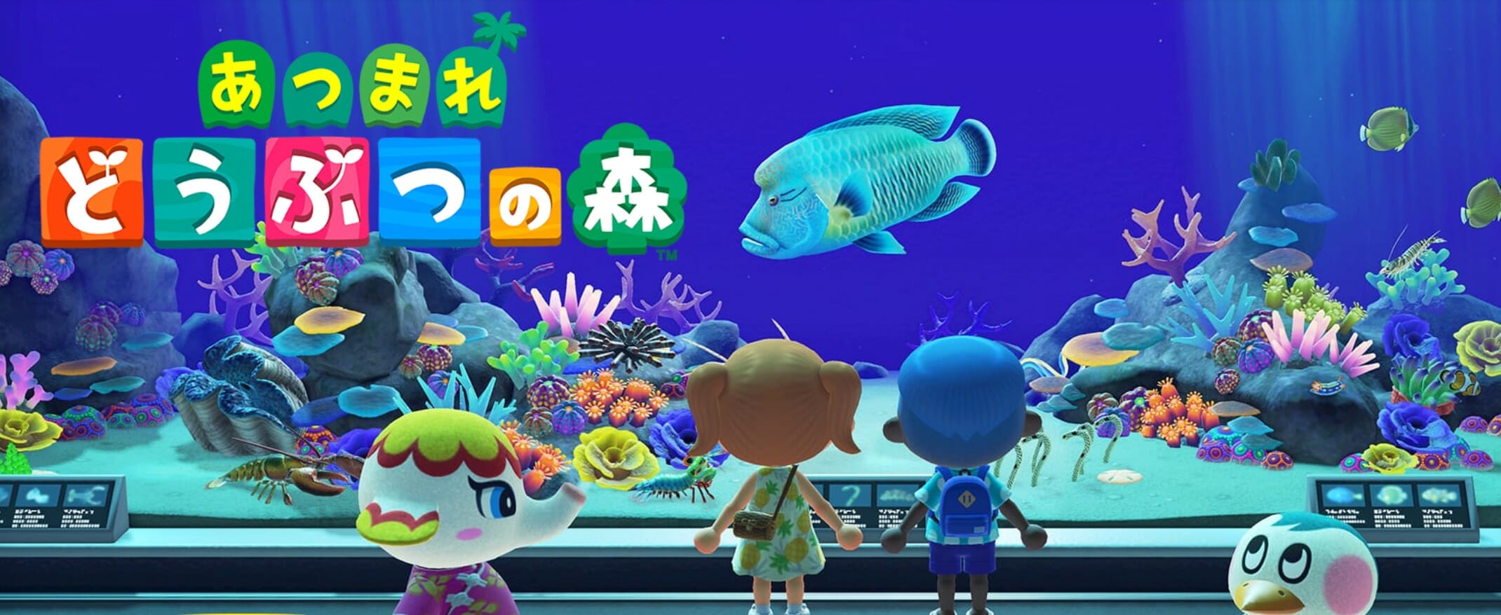 「あつまれ どうぶつの森」しずえさんがラコスケさんのお便りを紹介！