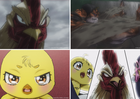 アニメ『ニワトリ・ファイター』第6羽あらすじ＆先行カット公開！海外版のOP映像の公開やDARUMA Rollin’とのコラボTシャツ販売も決定！