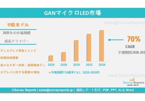 GaNマイクロLED市場：世界調査レポート―需要、シェア、メーカー、市場規模、成長、動向および展望（2026年～2036年）