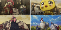アニメ『ニワトリ・ファイター』第12羽あらすじ＆先行カット公開！1～3話無料キャンペーンも好評開催中！