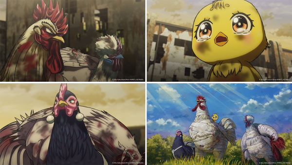 アニメ『ニワトリ・ファイター』第12羽あらすじ＆先行カット公開！1～3話無料キャンペーンも好評開催中！