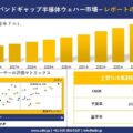 Wide Bandgap Semiconductor Wafers Market(ワイドバンドギャップ半導体ウェハー市場)調査レポート – 世界市場規模、シェア、傾向の見通し、2026-2035年
