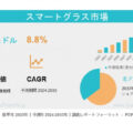 スマートグラス市場：世界調査レポート―需要、市場シェア、主要メーカー、市場規模、成長動向、トレンドおよび将来展望（2024～203…