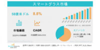 スマートグラス市場：世界調査レポート―需要、市場シェア、主要メーカー、市場規模、成長動向、トレンドおよび将来展望（2024～2033年）