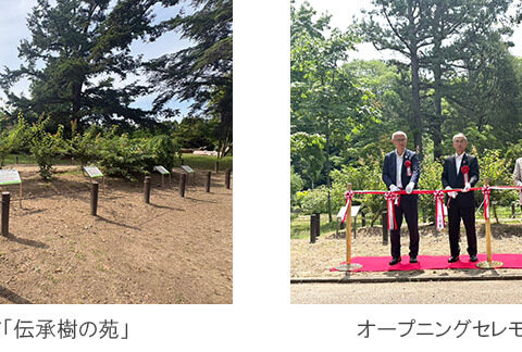 京都府立植物園に 「伝承樹の苑(でんしょうじゅのその)」 開設