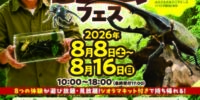 【イベント中止のお知らせ】 夏休みの自由研究はこれで決まり！大人気「たんけん昆虫フェス」がバージョンアップ。フィギュアを集めて「じぶんだけの昆虫ジオラマ」を作ろう！