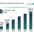 急増する需要が押し上げる液化天然ガス市場、2030年までに2,202.2億ドルへ